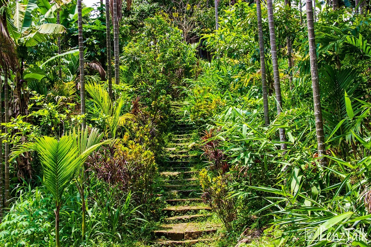 Mawlynnong Village