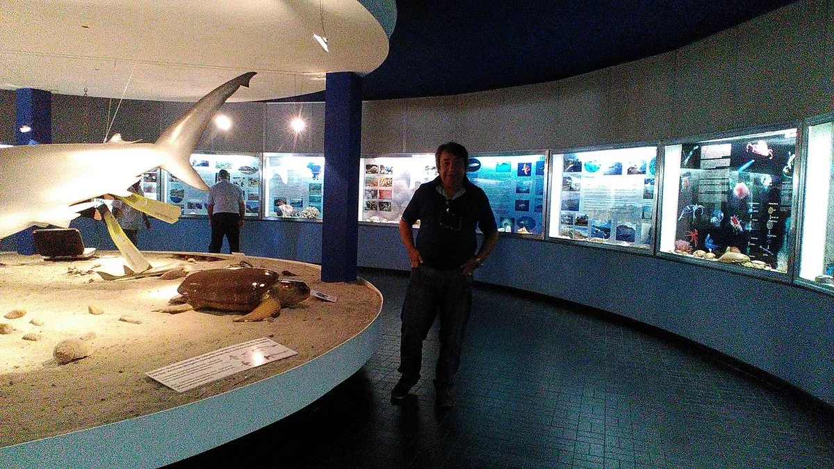 Museu Oceanográfico Eliézer de C. Rios