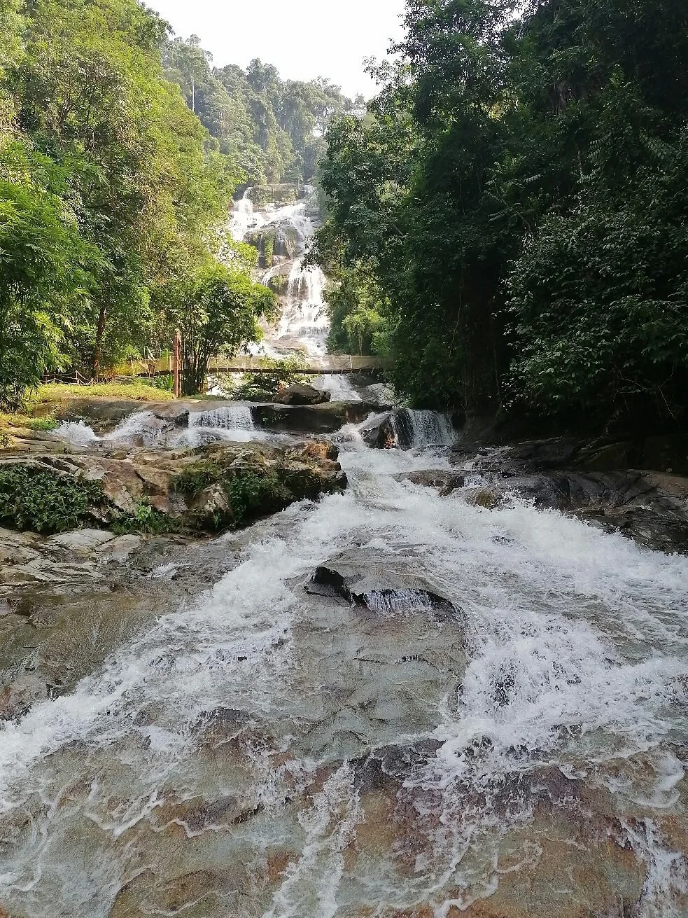 Taman Eko-Rimba Lata Kinjang