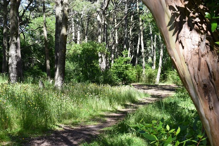 Parque Municipal Vivero Cosme Argerich