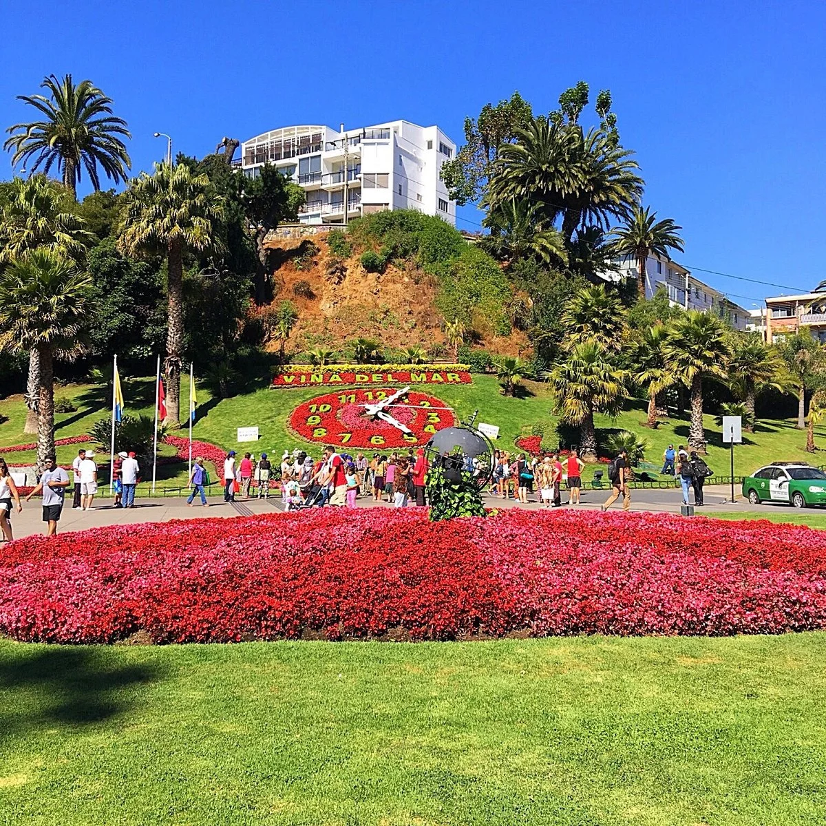 Flower Clock (Reloj de Flores)