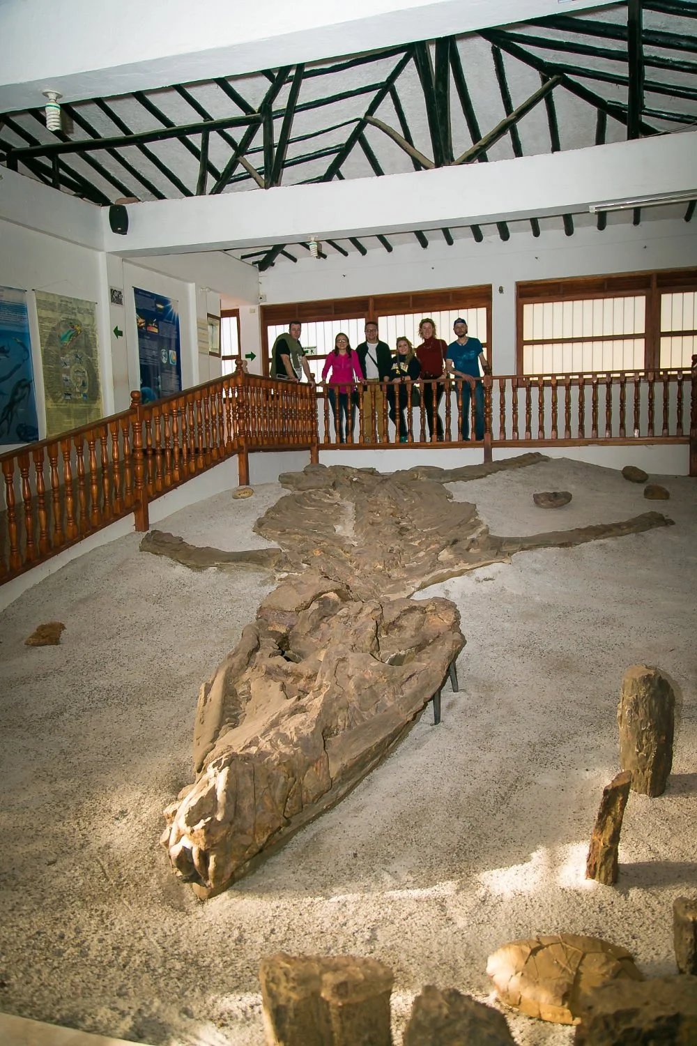 Museo El Fosil