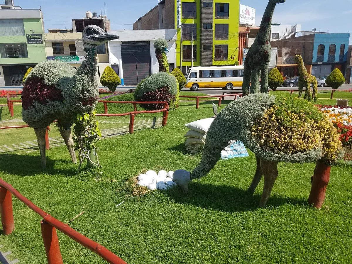 Bosque Municipal De Tacna