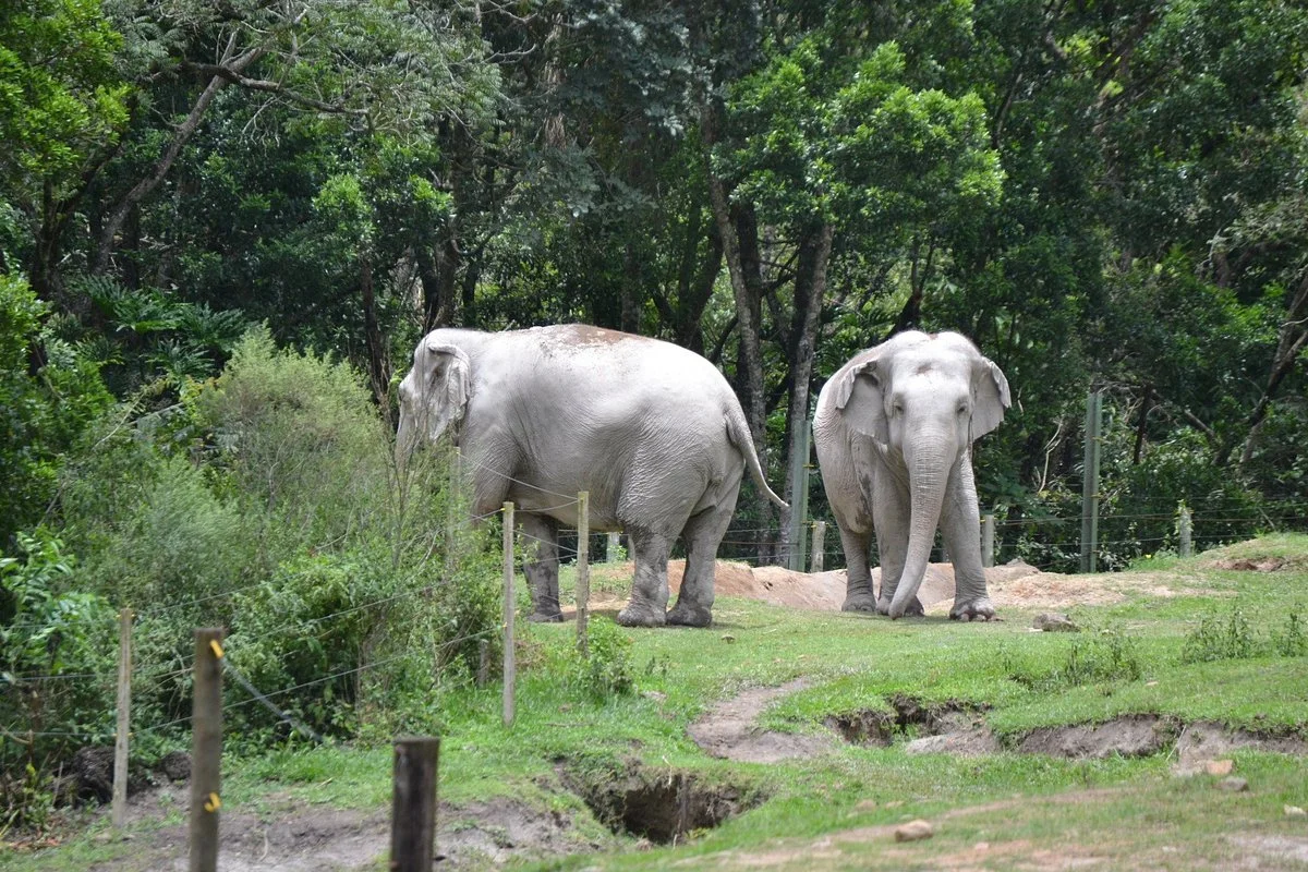 Zooparque
