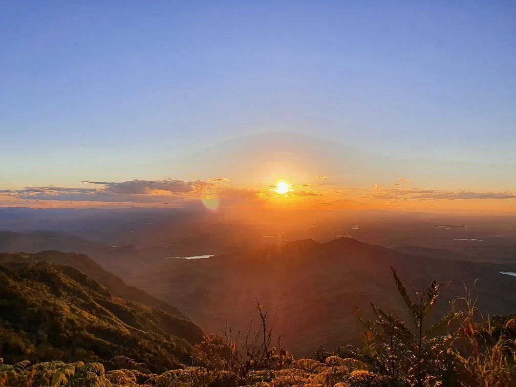 Pico Alto