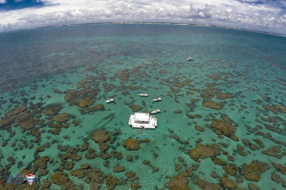 Parrachos de Maracajau