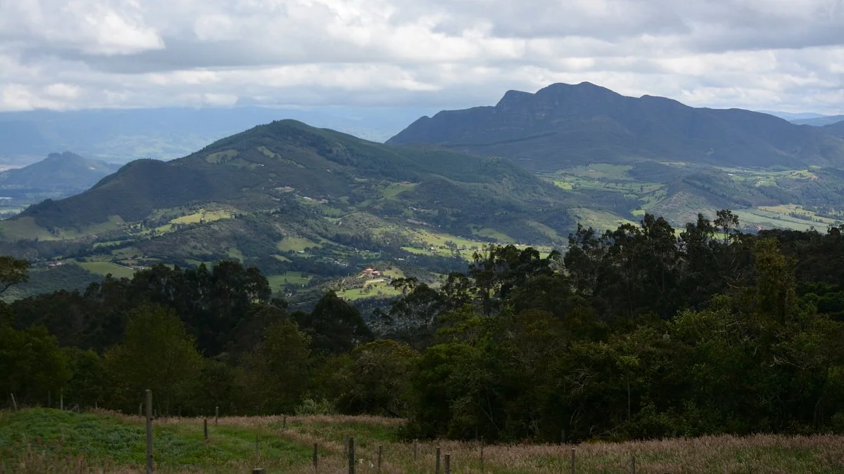 Encenillos Biological Reserve