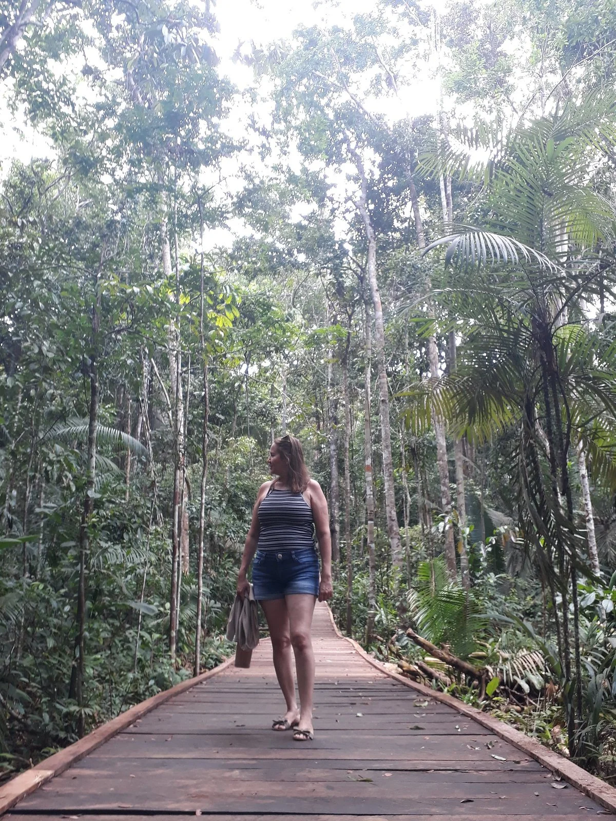Parque Natural de Porto Velho