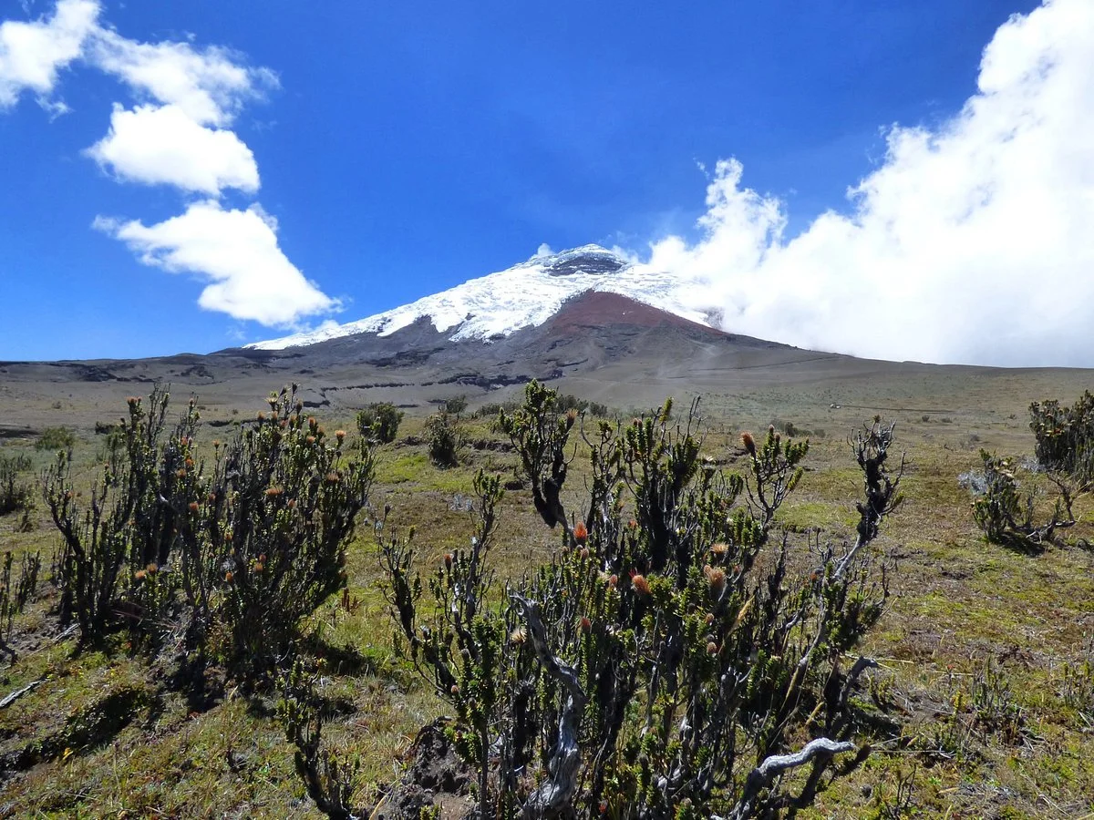 Cotopaxi National Park