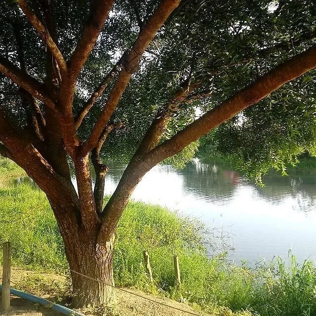 Parque Municipal Erivaldo Cerqueira
