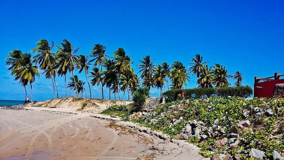 Praia de Maracajau