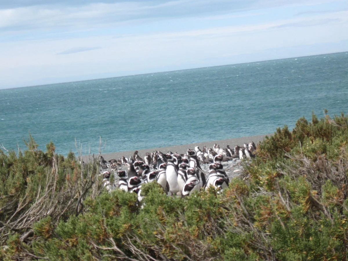 Cabo Vírgenes
