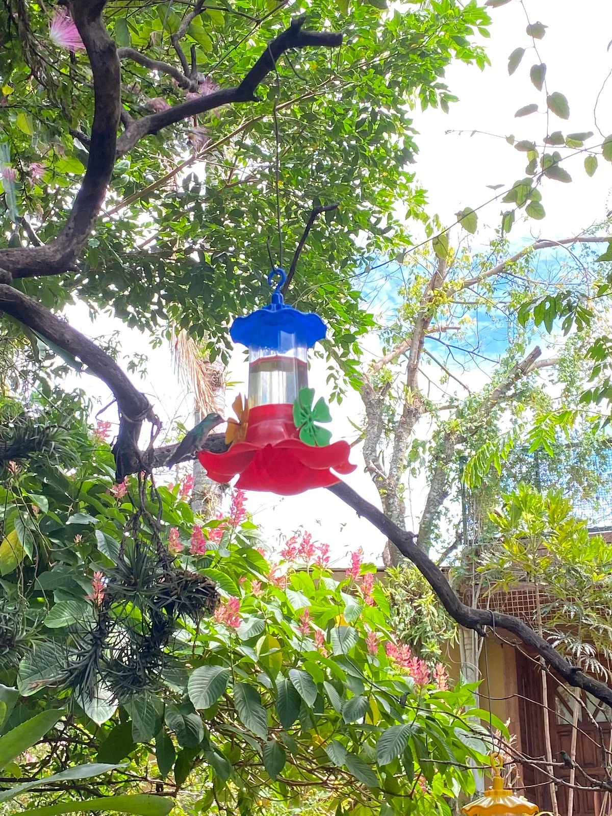 Jardin de los Picaflores