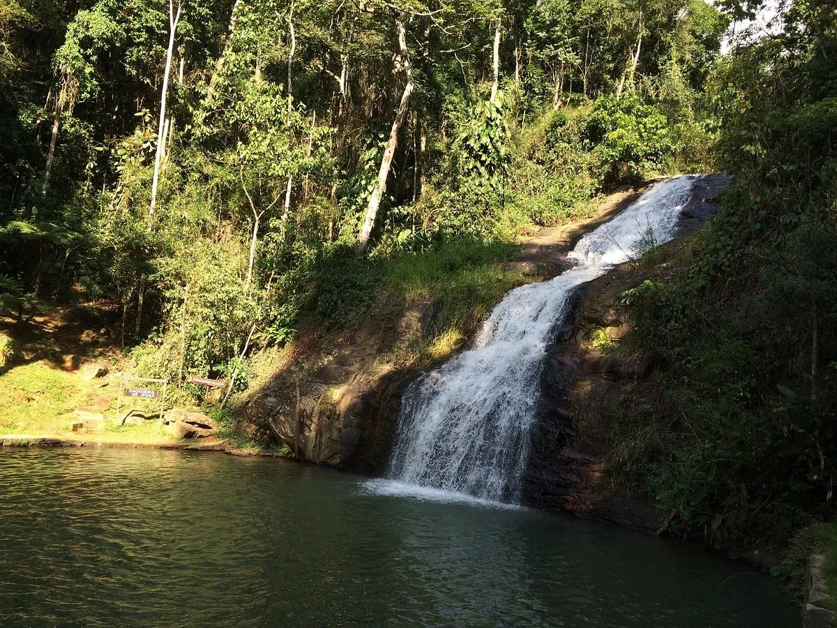 Floresta Nacional de Passa Quatro