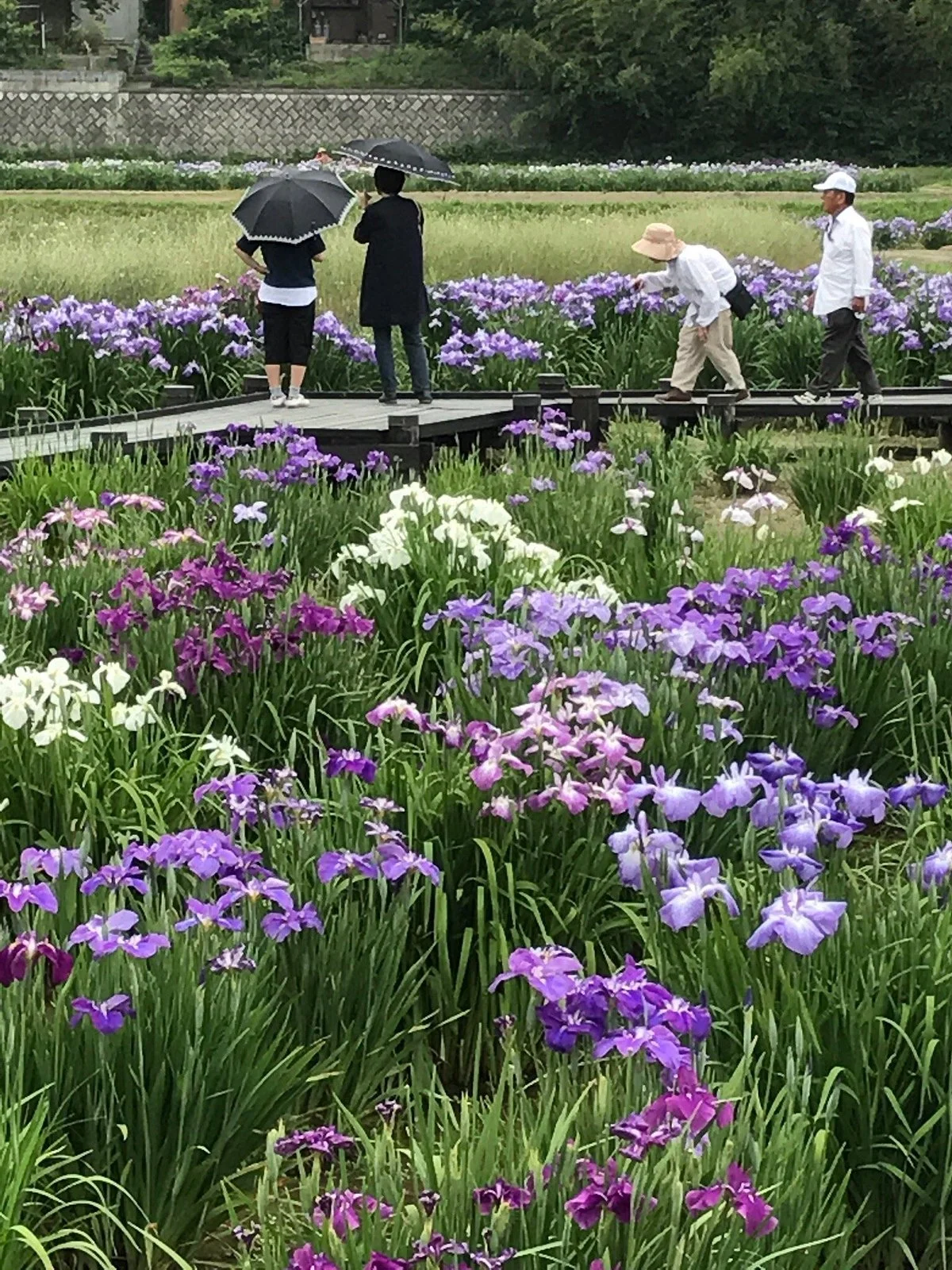 Fureai no Sato Tamagawa