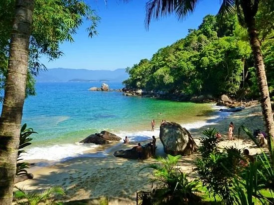 Ilha Das Couves