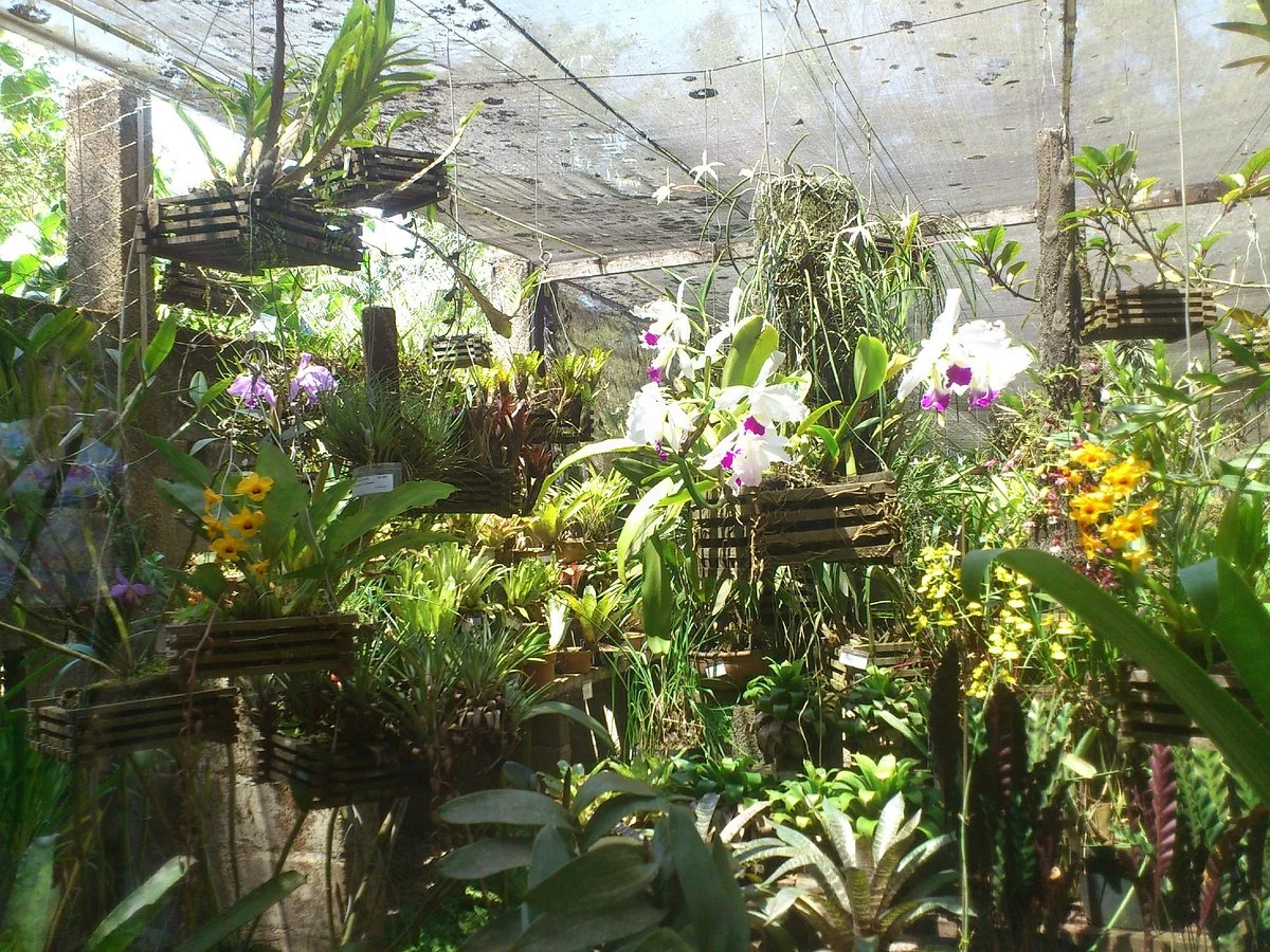 Museu de Biologia Prof. Mello Leitão