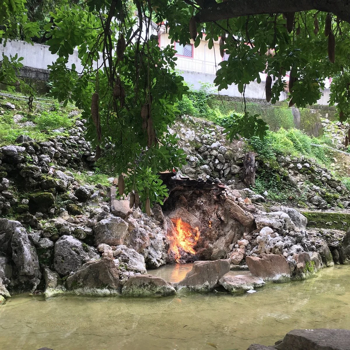 Fire and Water Spring