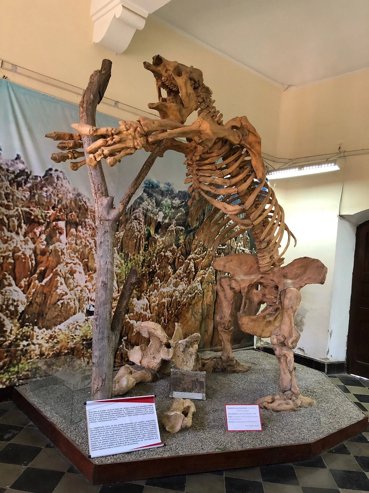 Museo Paleontologico y Arqueologico