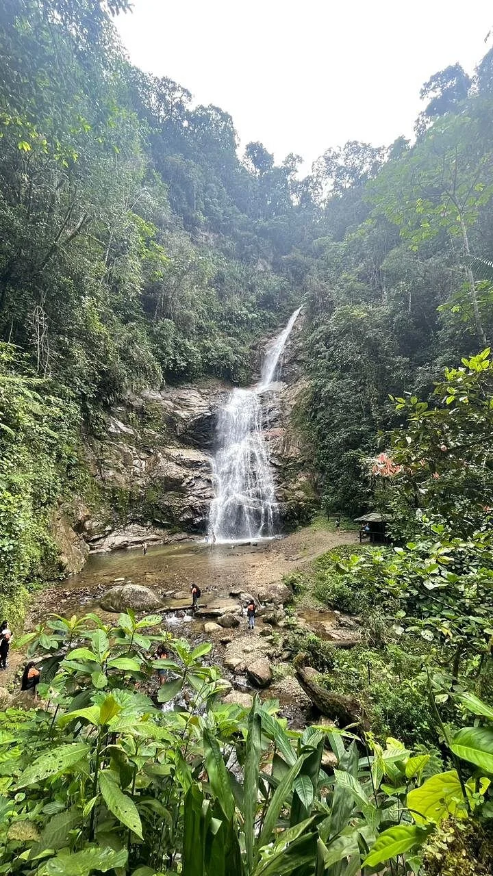 Parque Nacional Podocarpus