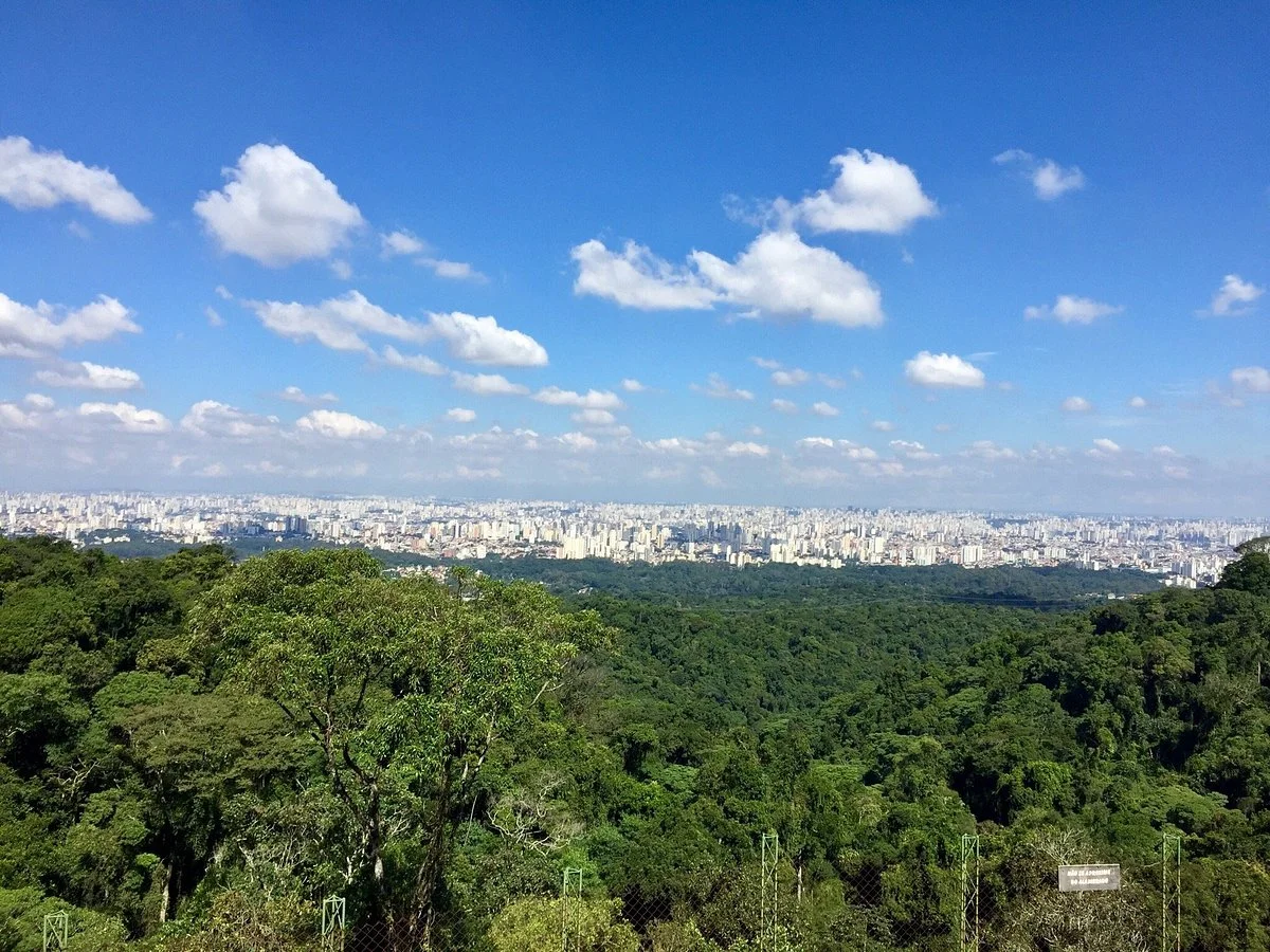 Parque Estadual Cantareira - Núcleo Pedra Grande