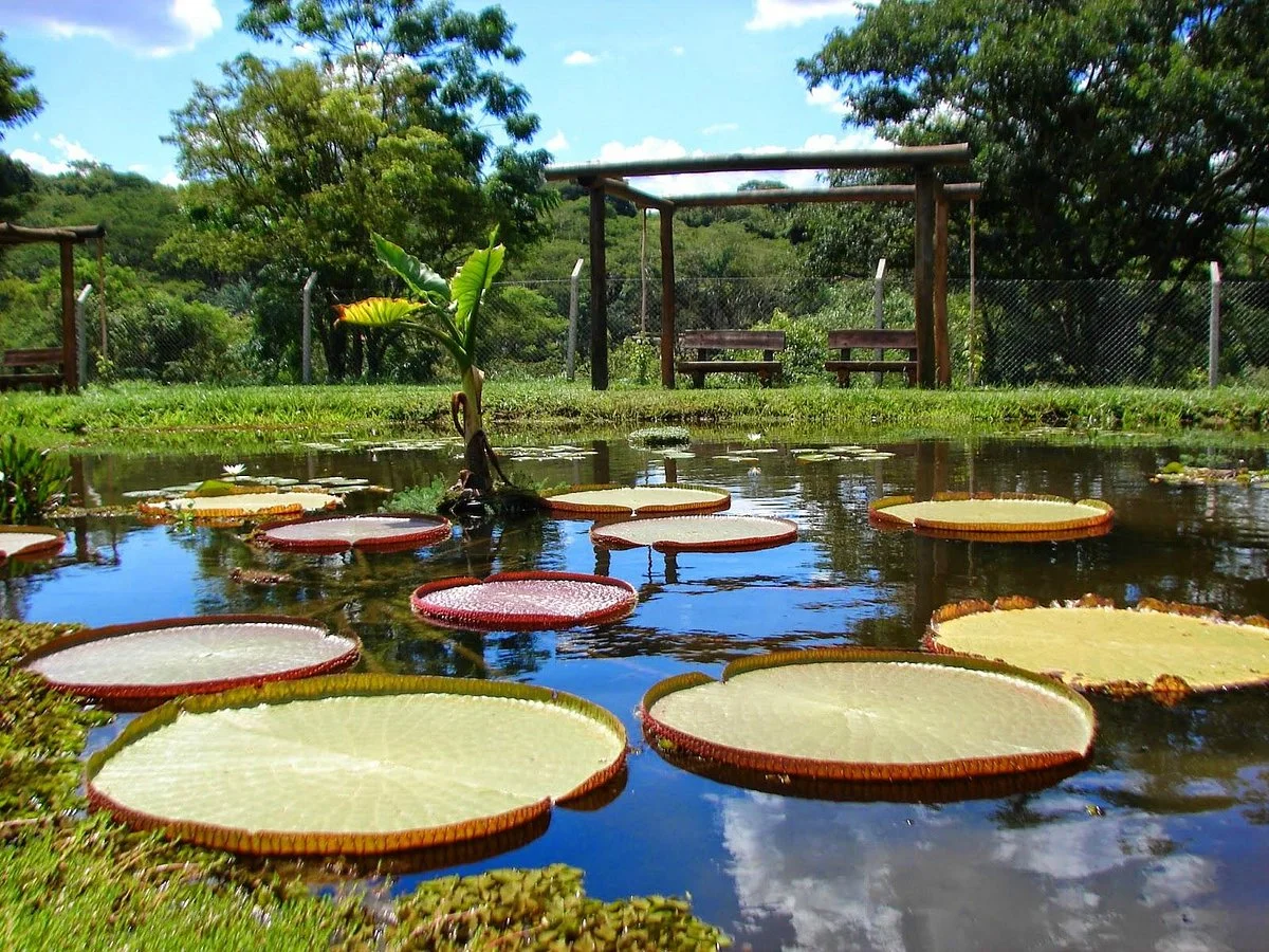 Municipal Botanical Garden of Bauru