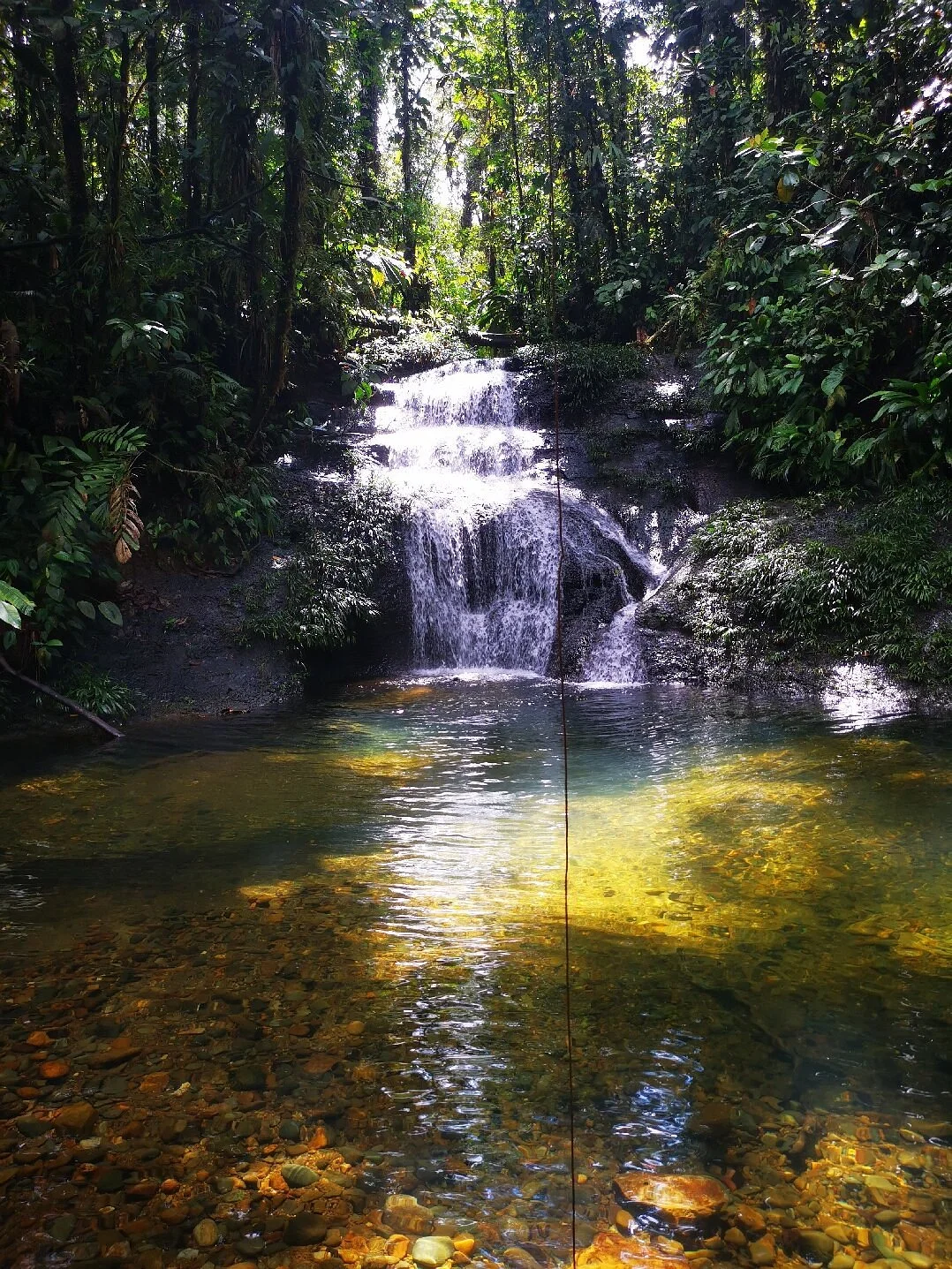 Reserva Natural San Cipriano