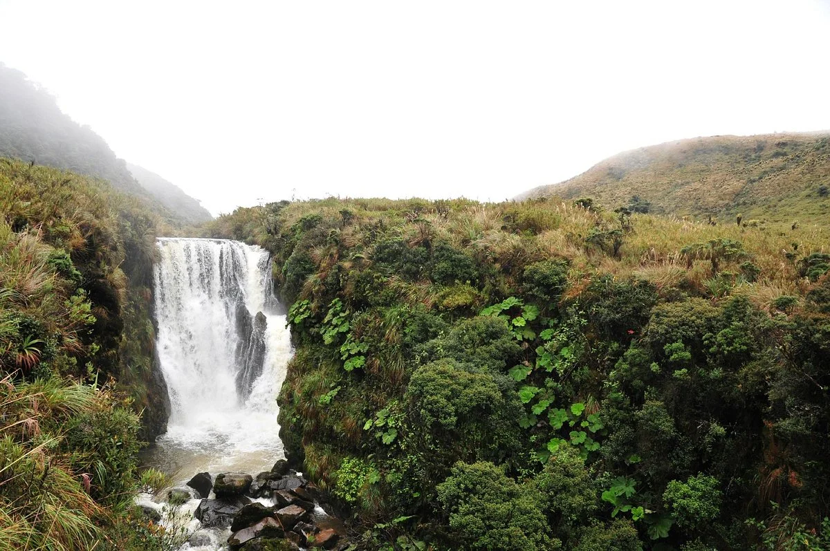 Puracé National Natural Park