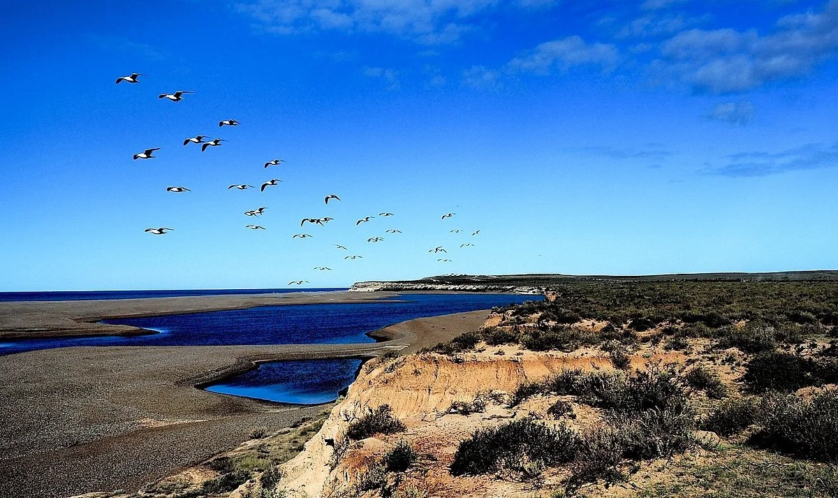 Caleta Valdes
