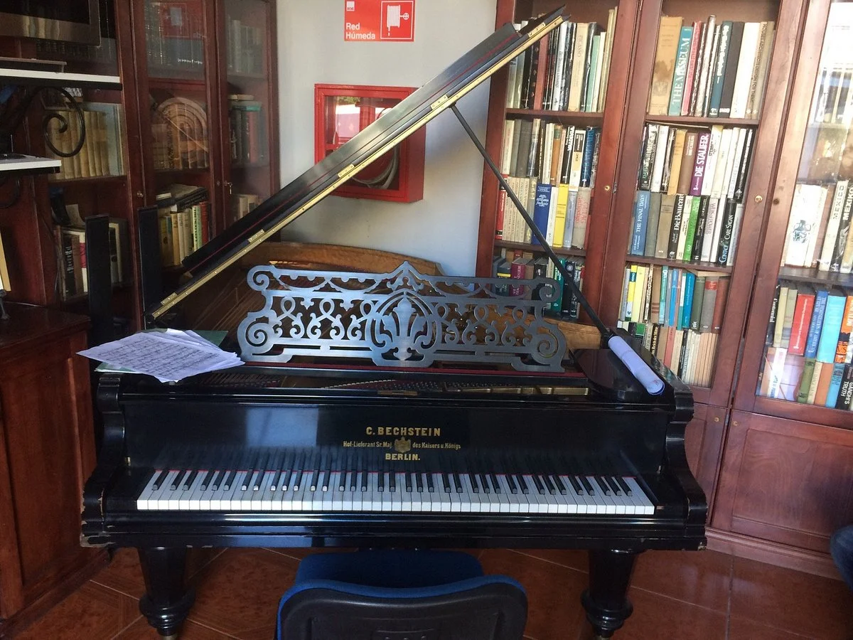 Museo Claudio Arrau Leon