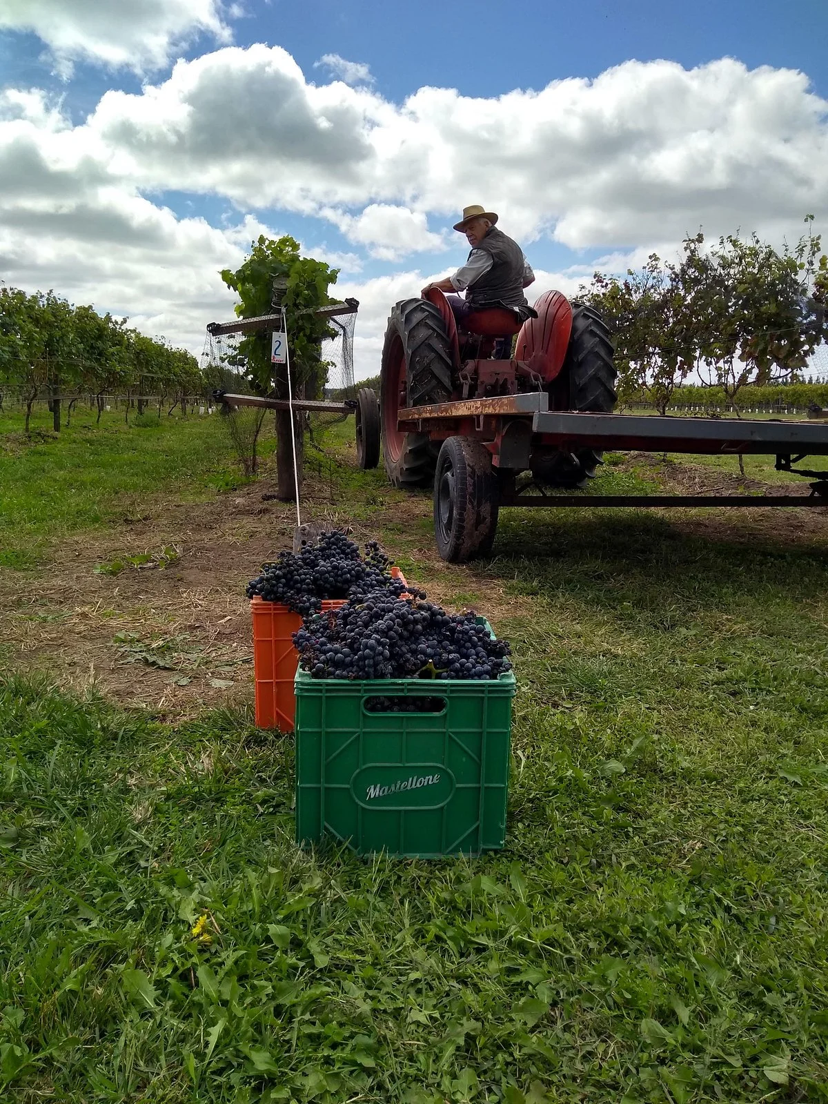 Vinos Uribelarrea