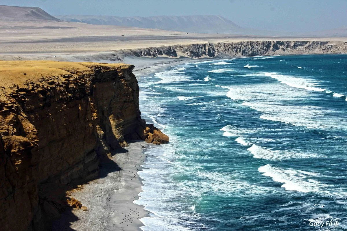 Paracas Nature Reserve