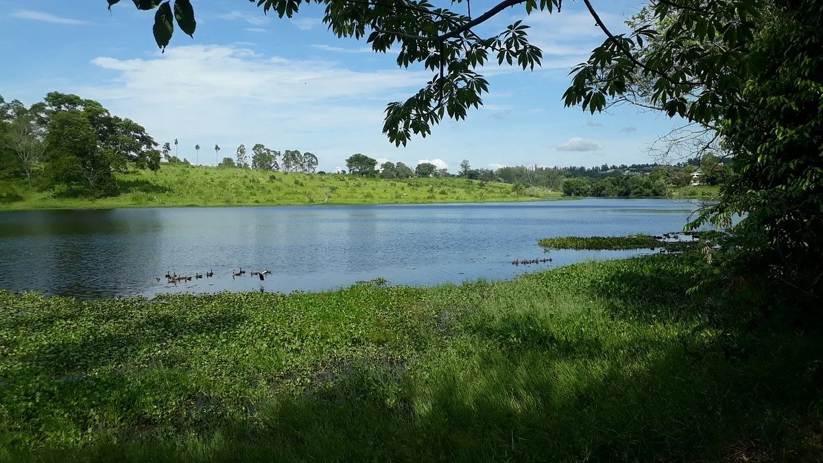 Palmeiras Lake