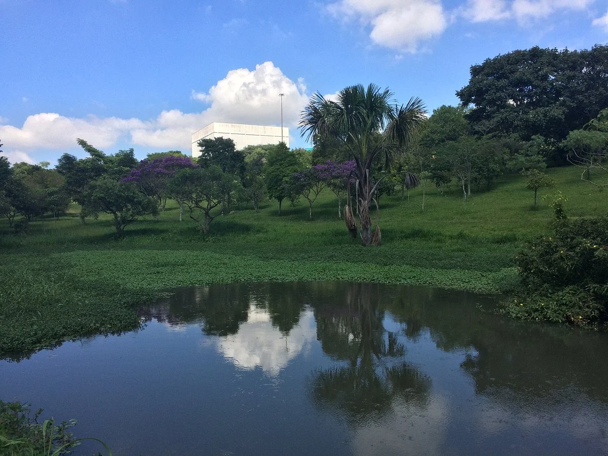 Parque Central Santo André