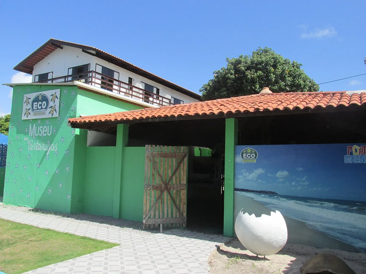 Museu das Tartarugas - ONG Ecoassociados