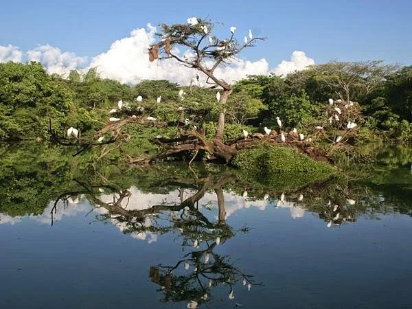 Ecoparque de las Garzas