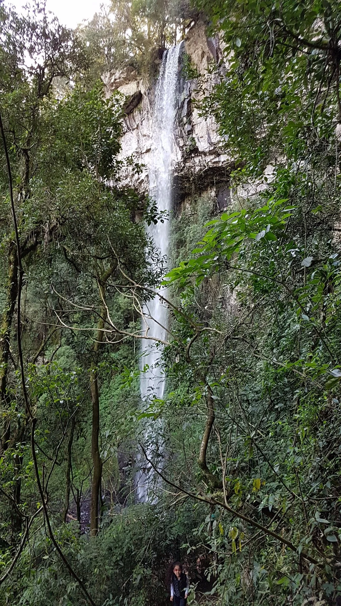 Estrada do Imigrante