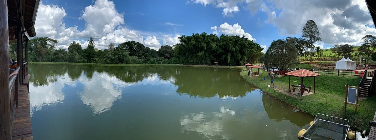 Pitaua