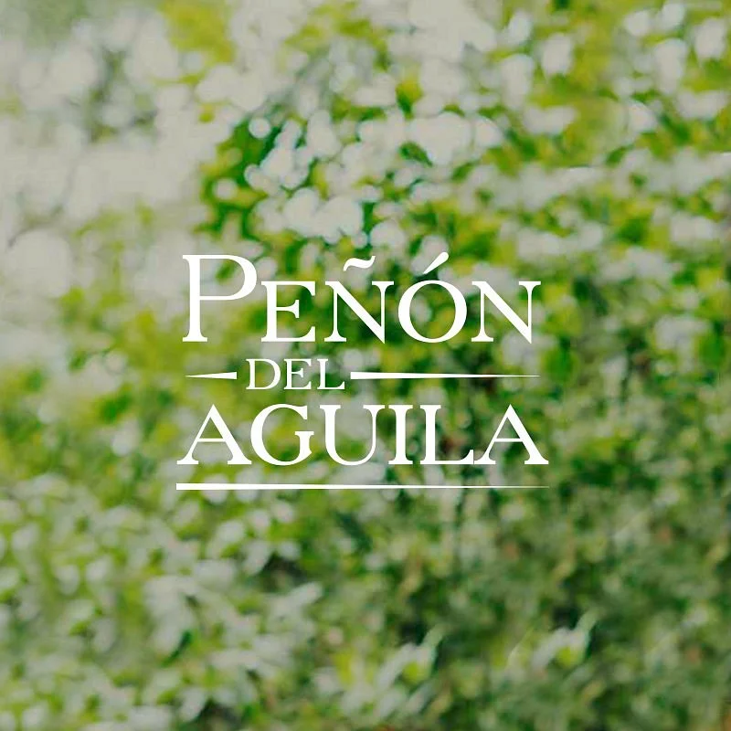 Peñón del Aguila