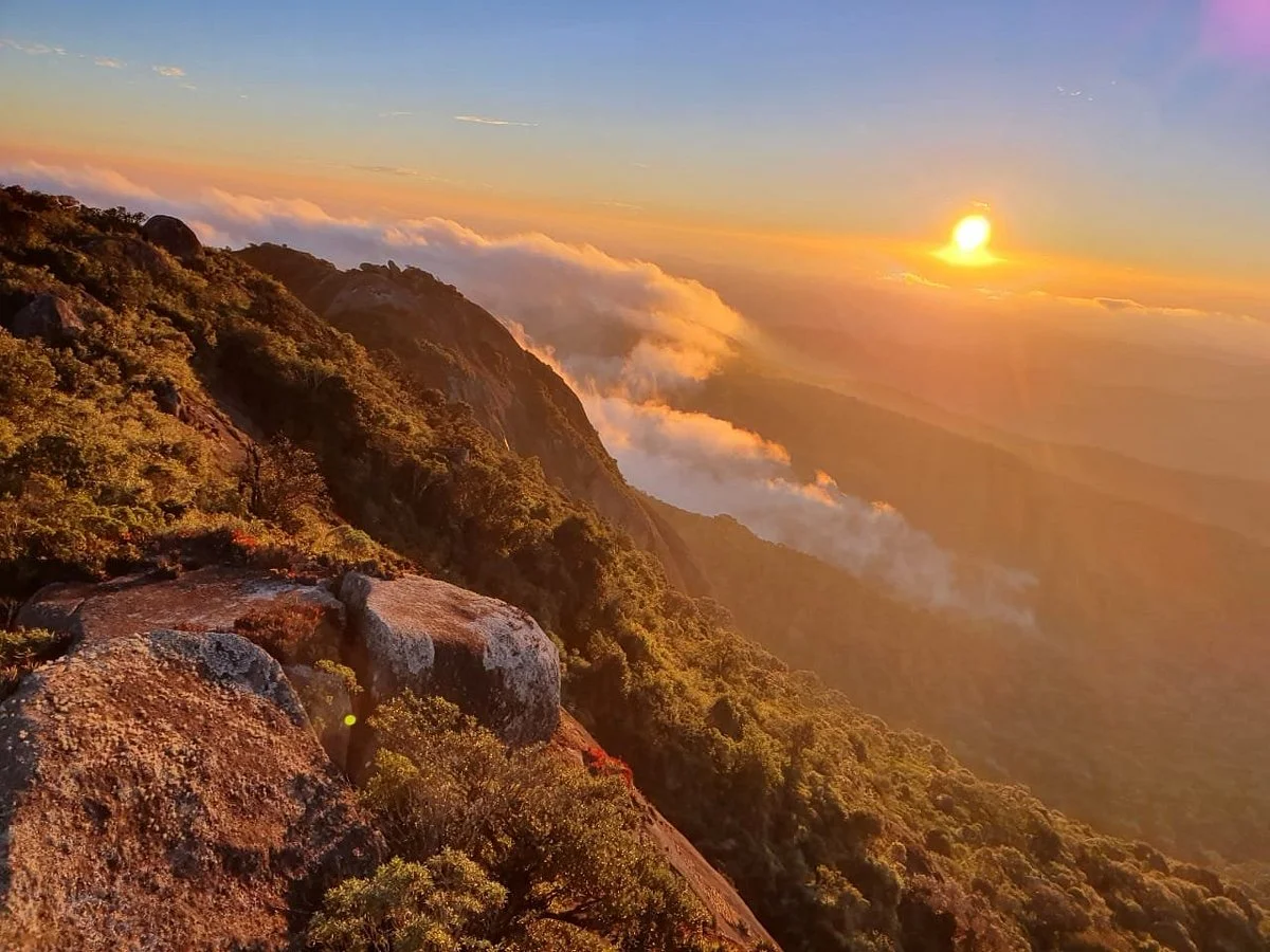 Pico Selado