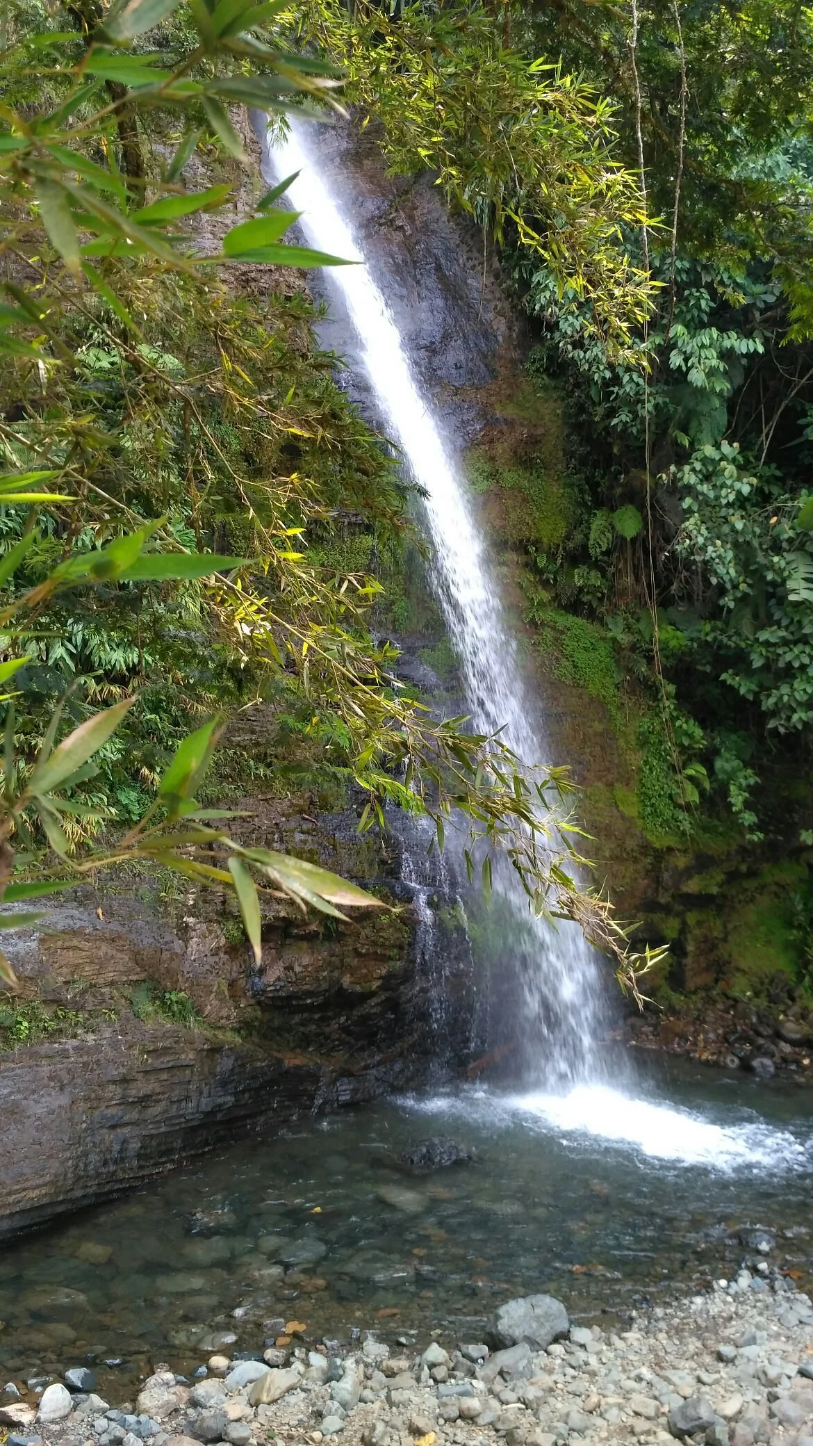Pance River