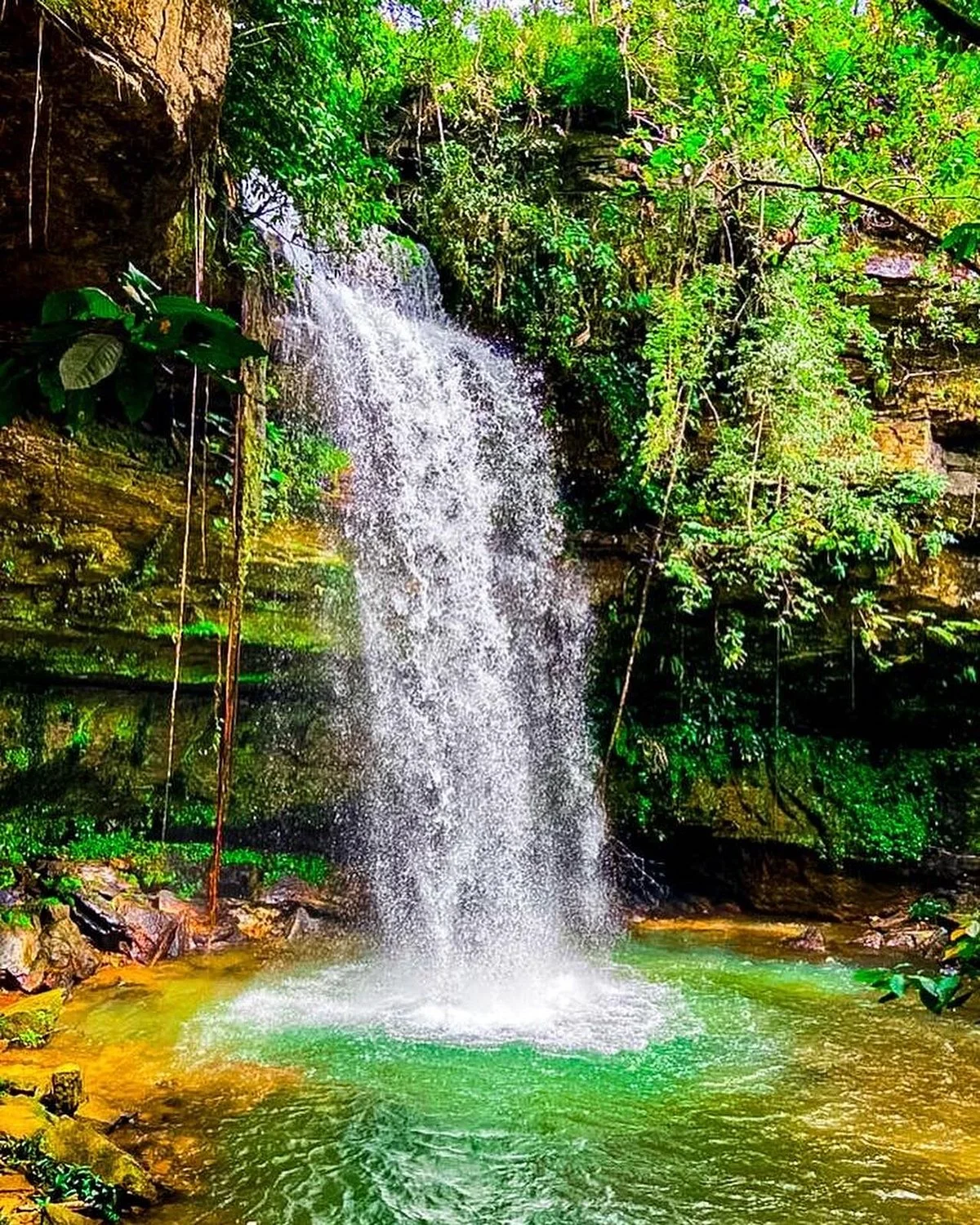 Cachoeira Ecológica