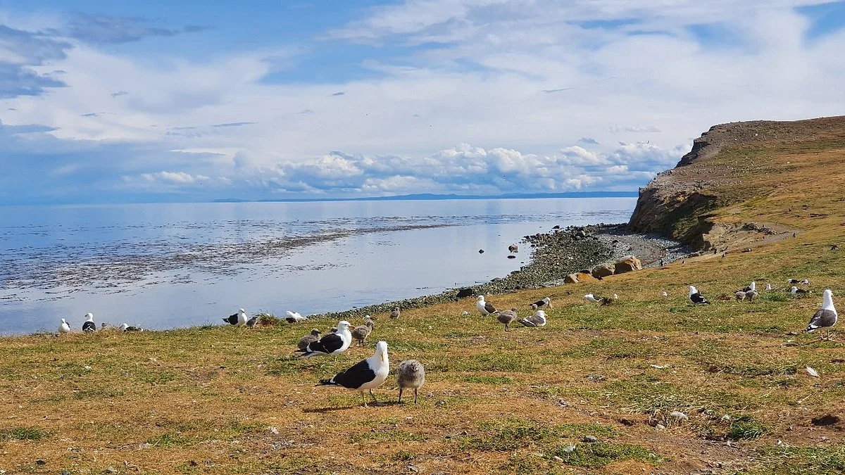 Monumento Natural Los Pinguinos