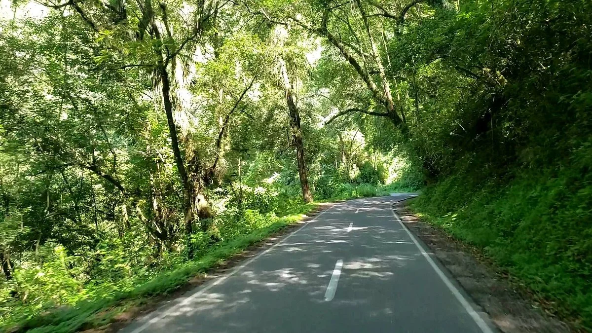 Camino de Cornisa