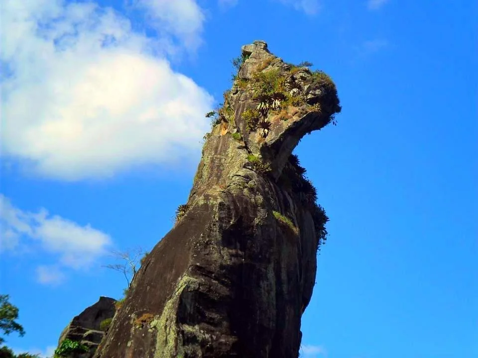 Parque Ecológico Cão Sentado