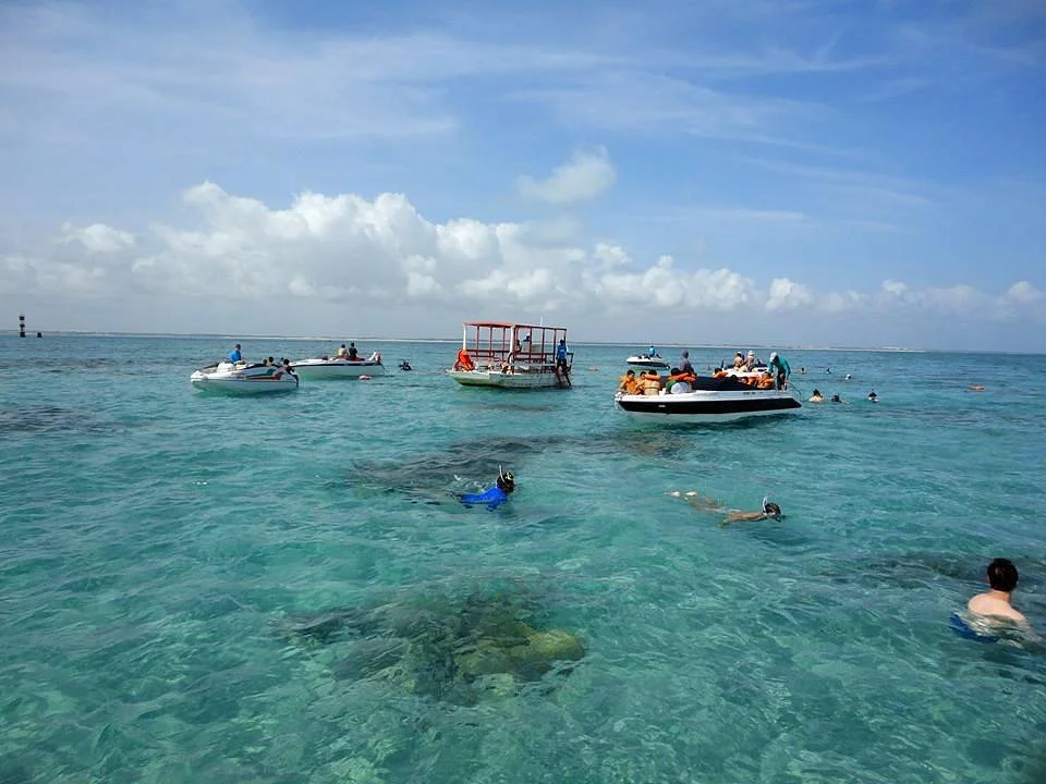 Parrachos de Rio do Fogo
