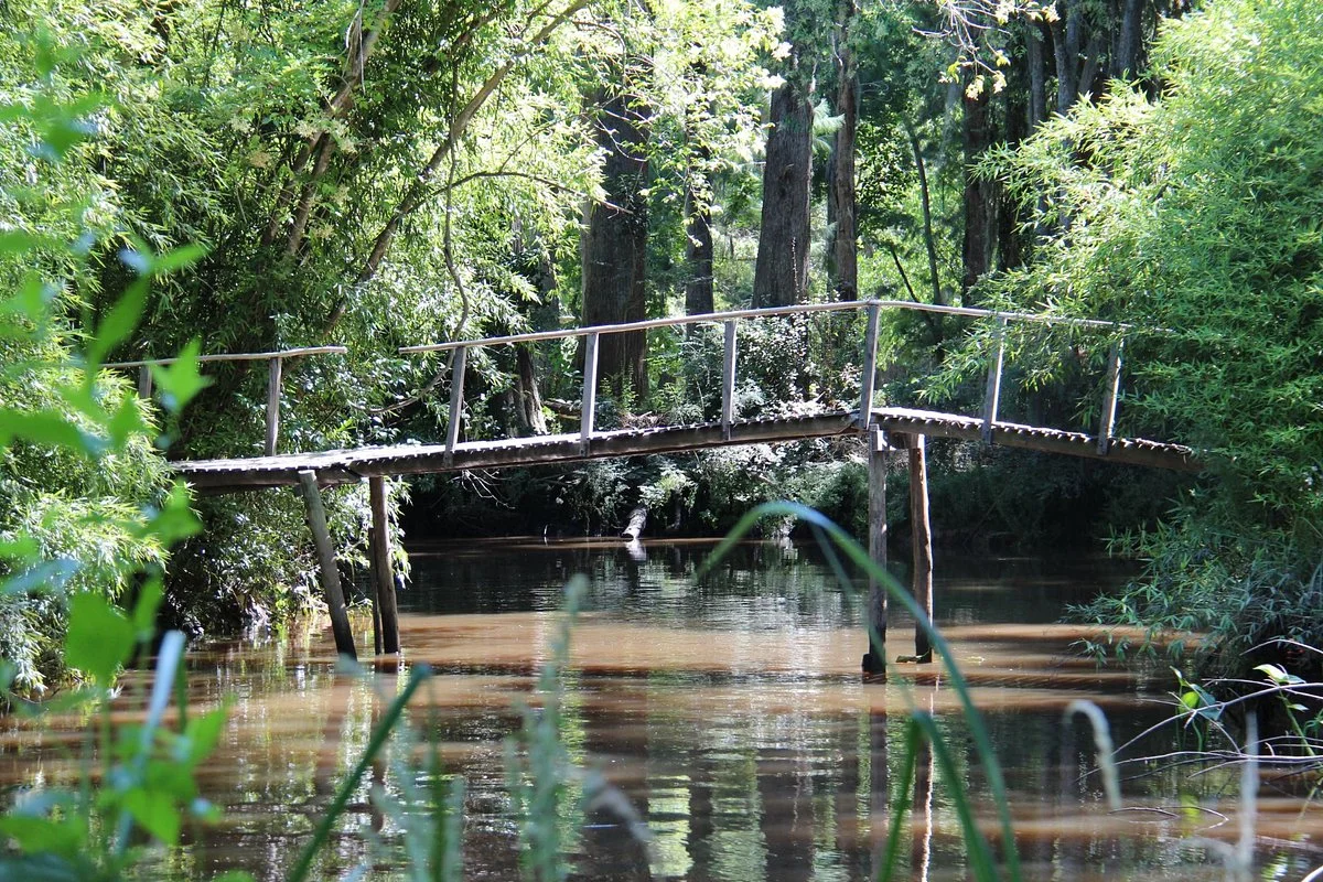 Delta Terra Natural Reserve