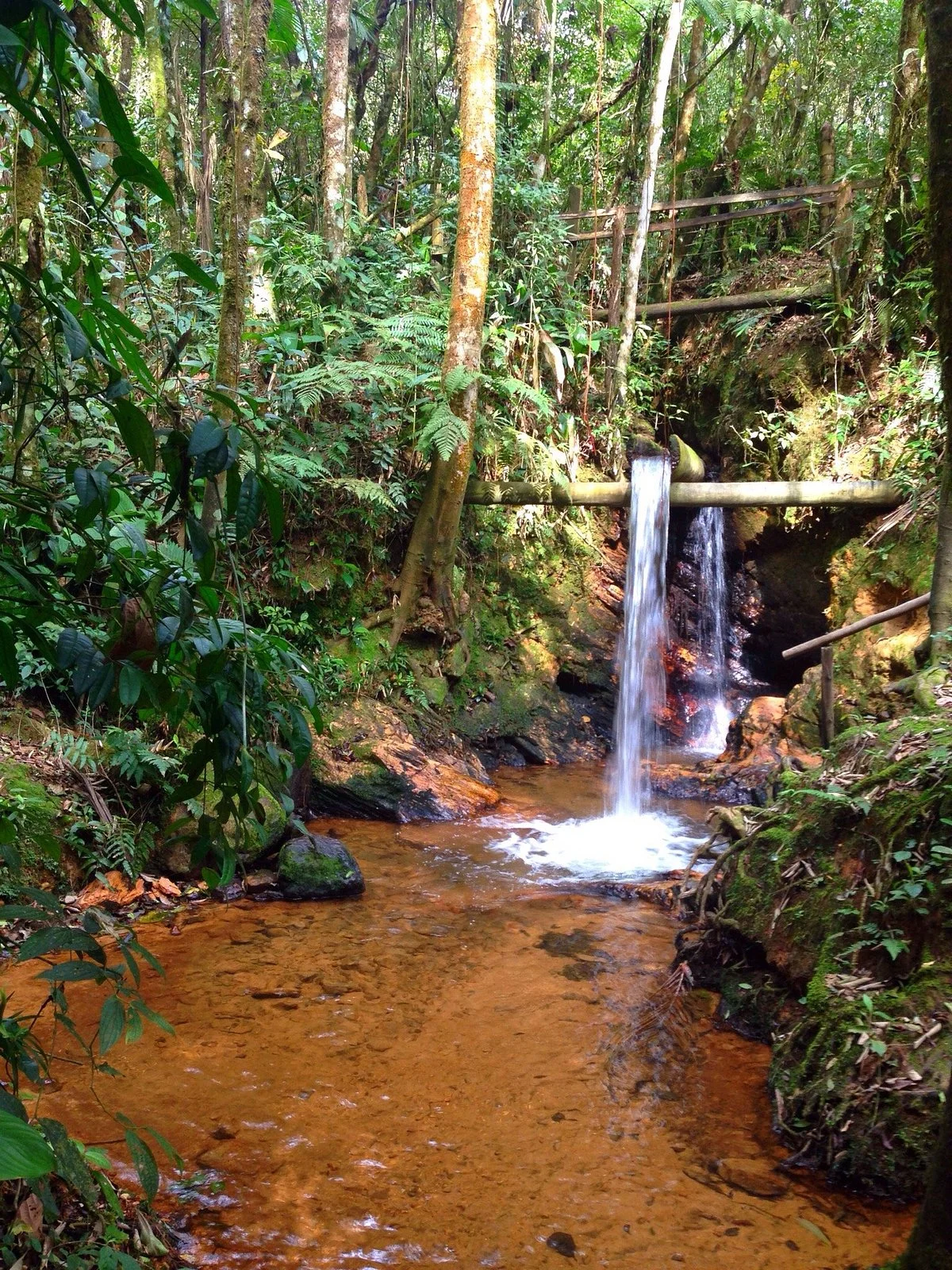 Parque Estadual Carlos Botelho