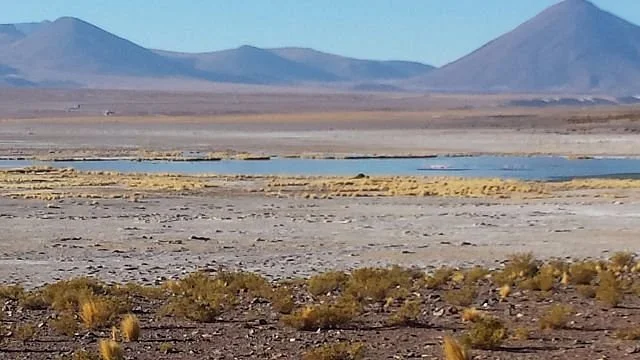 Salar de Coposa