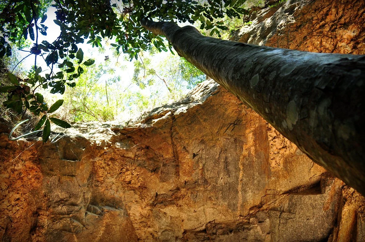 Spar Grotto